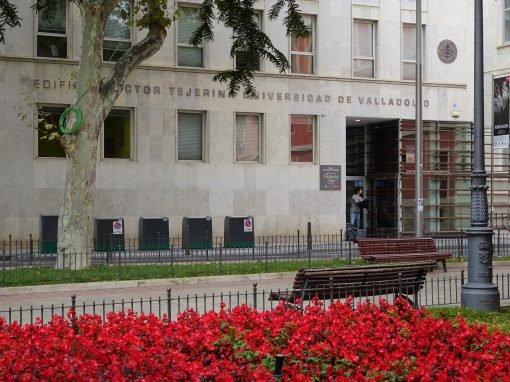 University of Valladolid – GEEDS
